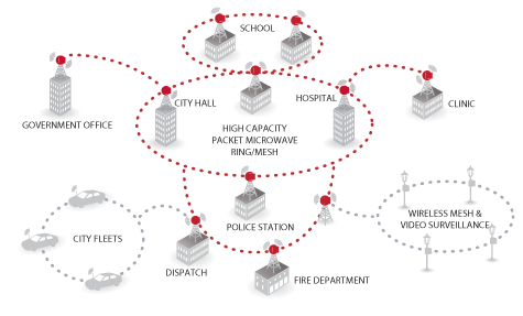 State and Local Government Network Diagram